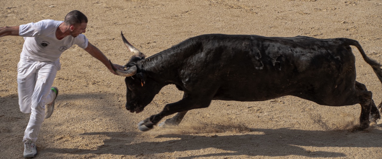 Course camargaise